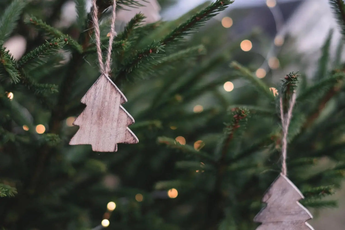 ’Tis the Season Holiday Fair | Nov 16 - 18 | Fletcher, NC