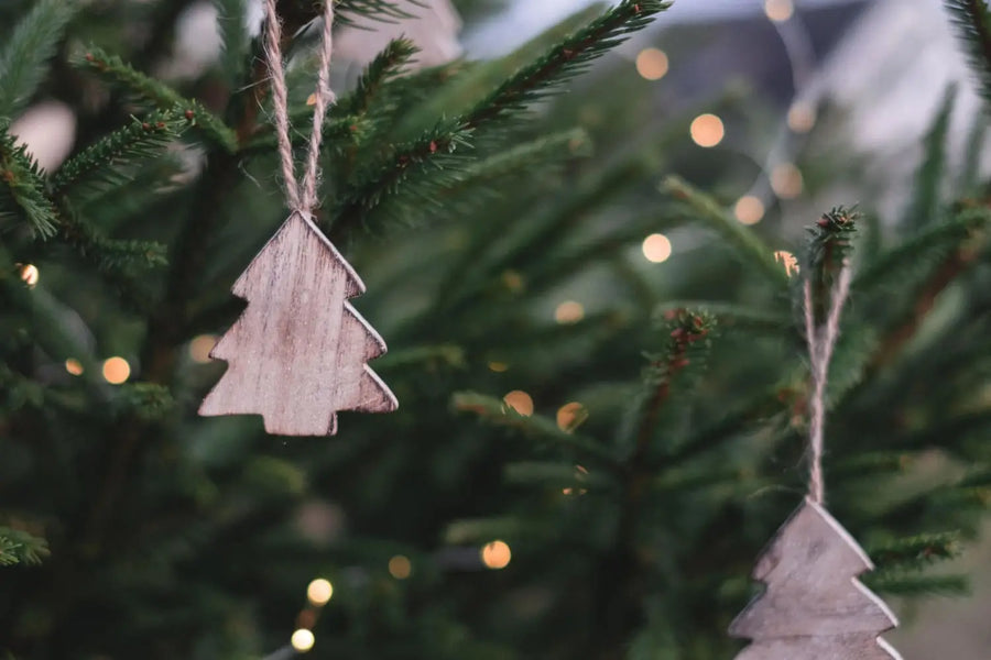 ’Tis the Season Holiday Fair | Nov 16 - 18 | Fletcher, NC
